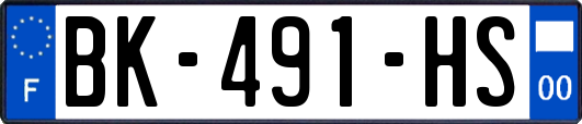 BK-491-HS