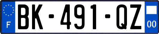 BK-491-QZ
