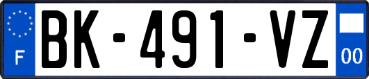 BK-491-VZ