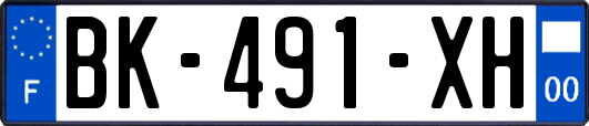 BK-491-XH