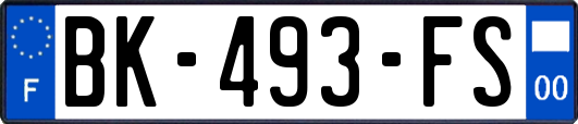 BK-493-FS