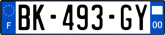 BK-493-GY