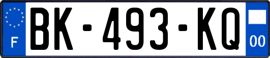 BK-493-KQ