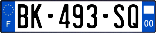 BK-493-SQ