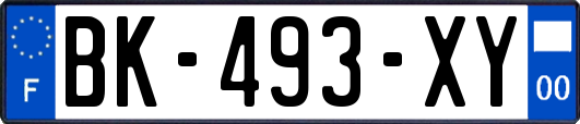 BK-493-XY