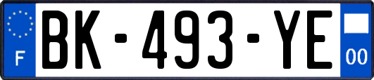 BK-493-YE