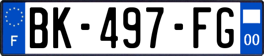 BK-497-FG