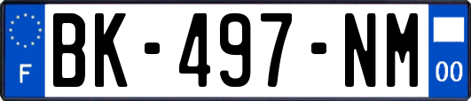 BK-497-NM