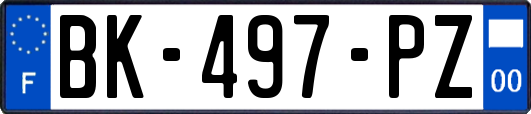 BK-497-PZ