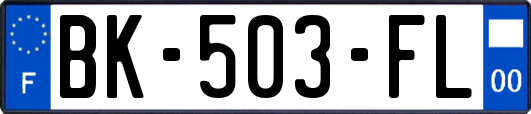 BK-503-FL