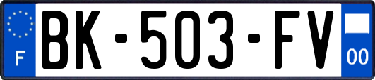 BK-503-FV