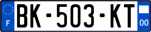 BK-503-KT