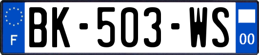 BK-503-WS