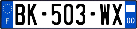 BK-503-WX