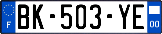 BK-503-YE