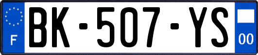 BK-507-YS