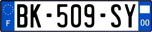 BK-509-SY