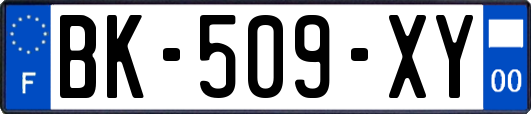 BK-509-XY