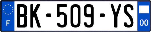 BK-509-YS