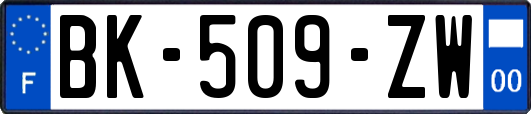 BK-509-ZW