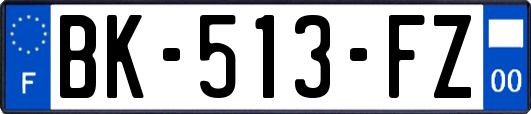 BK-513-FZ