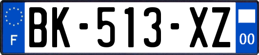 BK-513-XZ