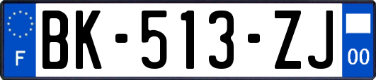 BK-513-ZJ
