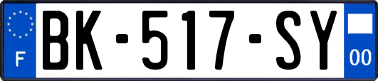 BK-517-SY