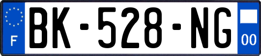 BK-528-NG