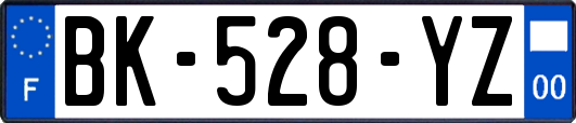 BK-528-YZ