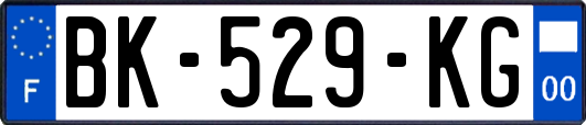 BK-529-KG