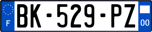 BK-529-PZ