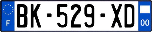 BK-529-XD