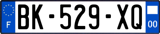 BK-529-XQ