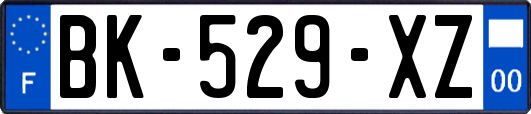 BK-529-XZ