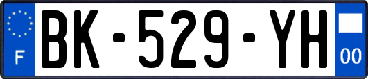 BK-529-YH