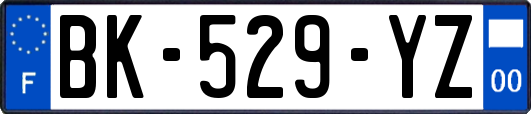 BK-529-YZ