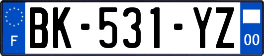 BK-531-YZ