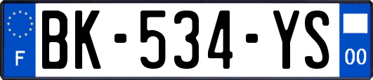 BK-534-YS