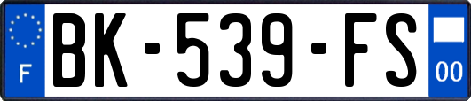 BK-539-FS