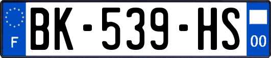 BK-539-HS