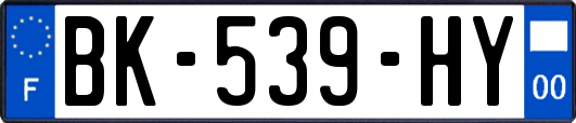 BK-539-HY