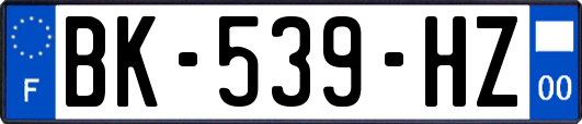 BK-539-HZ