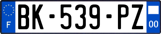 BK-539-PZ