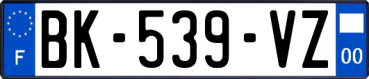 BK-539-VZ