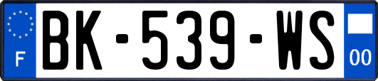 BK-539-WS