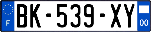 BK-539-XY