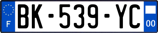 BK-539-YC