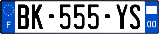 BK-555-YS