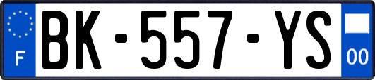 BK-557-YS